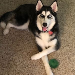 Meet your Posher, Pamela